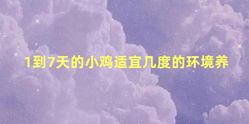 1到7天的小鸡适宜几度的环境养