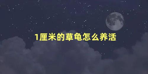 1厘米的草龟怎么养活