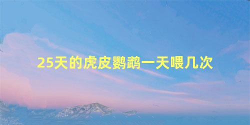 25天的虎皮鹦鹉一天喂几次
