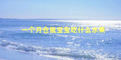 一个月仓鼠宝宝吃什么水果