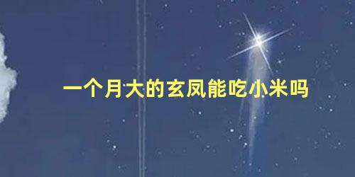 一个月大的玄凤能吃小米吗