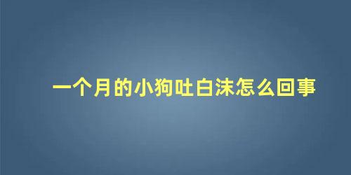 一个月的小狗吐白沫怎么回事