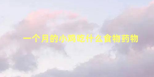一个月的小鸡吃什么食物药物