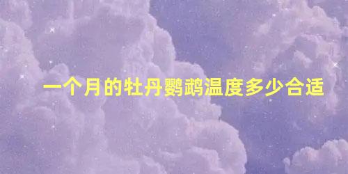 一个月的牡丹鹦鹉温度多少合适