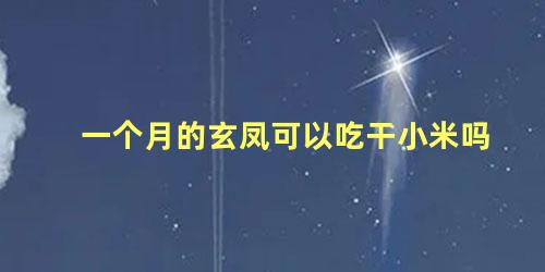 一个月的玄凤可以吃干小米吗