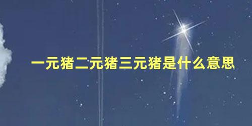 一元猪二元猪三元猪是什么意思