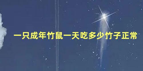 一只成年竹鼠一天吃多少竹子正常