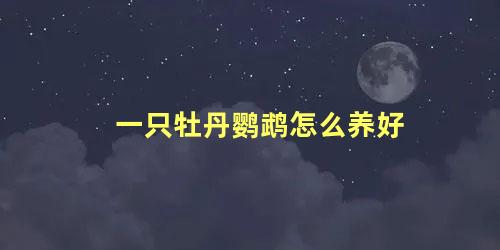 一只牡丹鹦鹉怎么养好