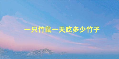 一只竹鼠一天吃多少竹子