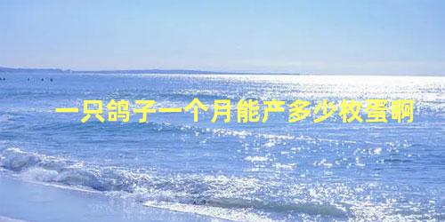 一只鸽子一个月能产多少枚蛋啊