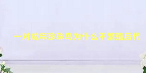 一对成年珍珠鸟为什么不繁殖后代