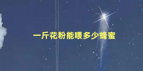 一斤花粉能喂多少蜂蜜