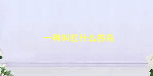 一种叫红什么的鸟