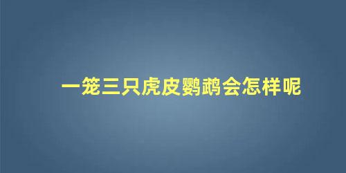 一笼三只虎皮鹦鹉会怎样呢