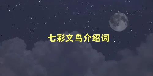 七彩文鸟介绍词