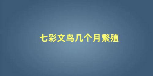 七彩文鸟几个月繁殖