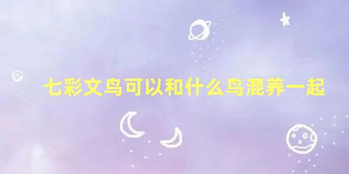 七彩文鸟可以和什么鸟混养一起