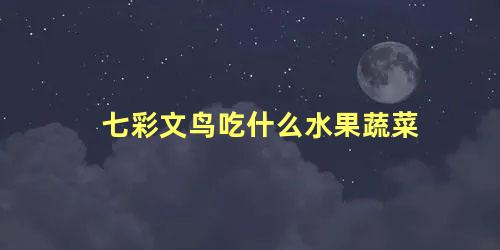 七彩文鸟吃什么水果蔬菜