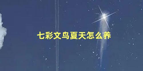 七彩文鸟夏天怎么养