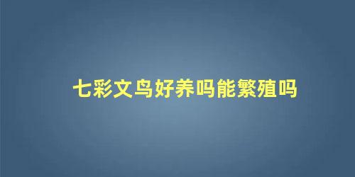 七彩文鸟好养吗能繁殖吗