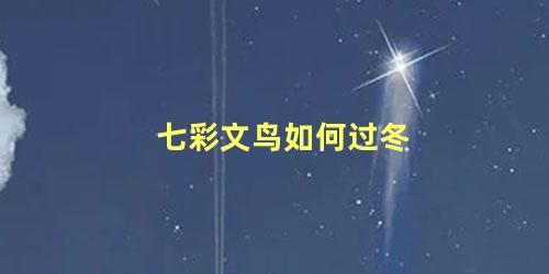 七彩文鸟如何过冬