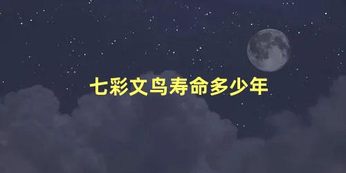 七彩文鸟寿命多少年