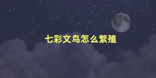 七彩文鸟怎么繁殖