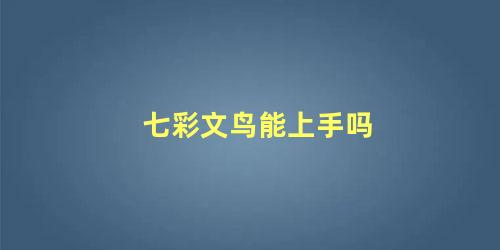 七彩文鸟能上手吗