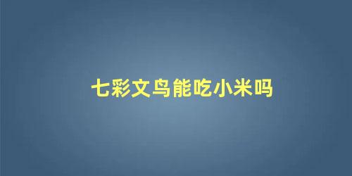 七彩文鸟能吃小米吗