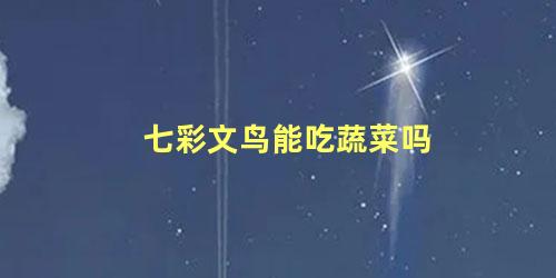 七彩文鸟能吃蔬菜吗