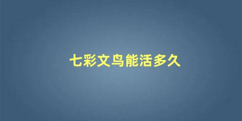 七彩文鸟能活多久
