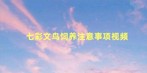 七彩文鸟饲养注意事项视频