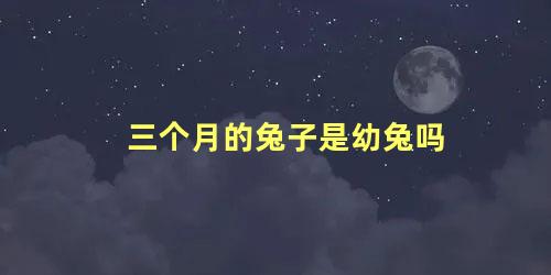 三个月的兔子是幼兔吗