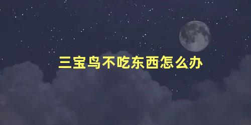 三宝鸟不吃东西怎么办