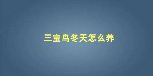 三宝鸟冬天怎么养