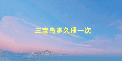 三宝鸟多久喂一次