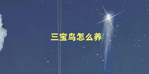 三宝鸟怎么养