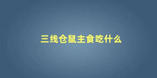 三线仓鼠主食吃什么