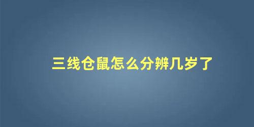 三线仓鼠怎么分辨几岁了