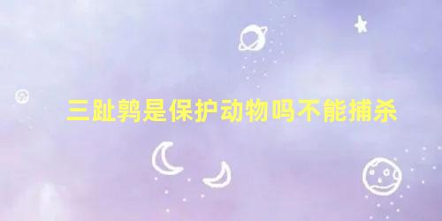 三趾鹑是保护动物吗不能捕杀