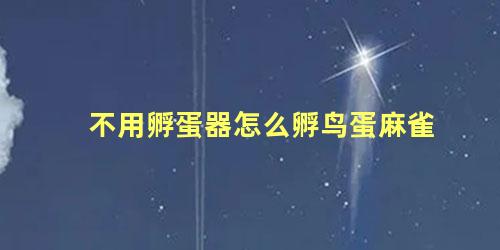 不用孵蛋器怎么孵鸟蛋麻雀