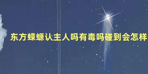 东方蝾螈认主人吗有毒吗碰到会怎样