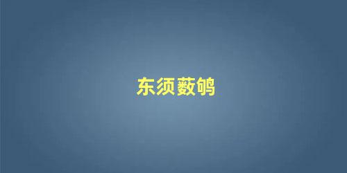 东须薮鸲