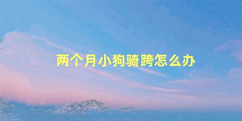 两个月小狗骑跨怎么办