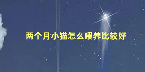 两个月小猫怎么喂养比较好