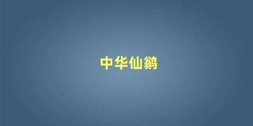 中华仙鹟