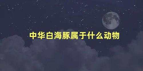 中华白海豚属于什么动物