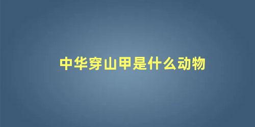 中华穿山甲是什么动物