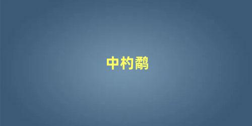 中杓鹬