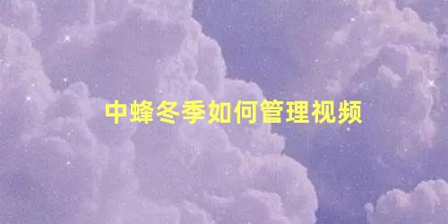 中蜂冬季如何管理视频